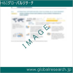 グローバルリサーチ調査レポートのイメージ